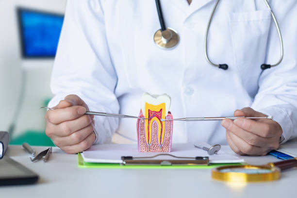 Best Mobile Emergency Dentist in Coleytown, CT